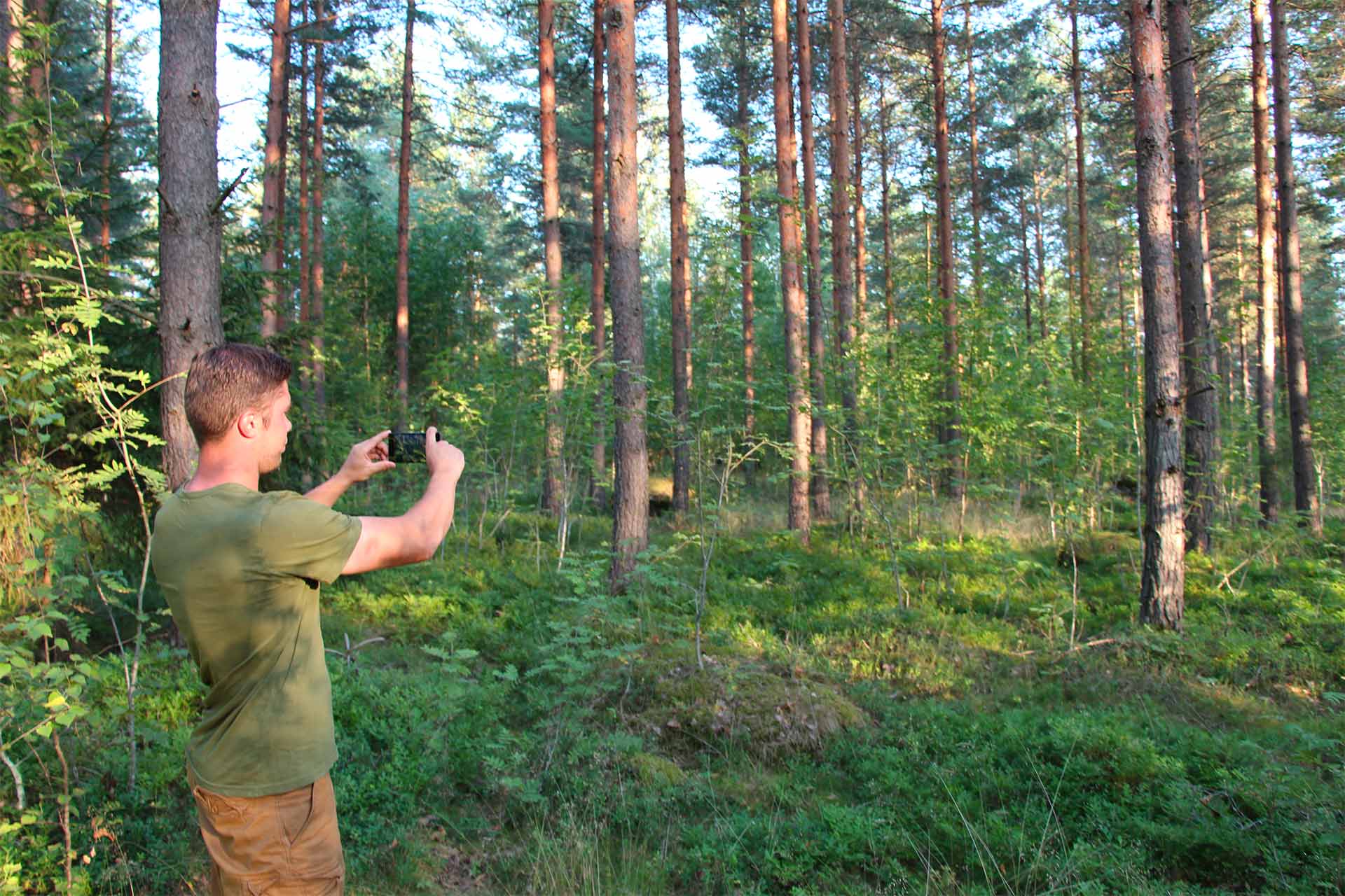 Trestima Oy - Metsänmittaus, metsäarviot